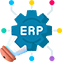 Customized ERP Solutions