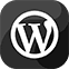 Wordpress CMS